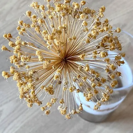 Апартаменти Marisa Hvar Iii *