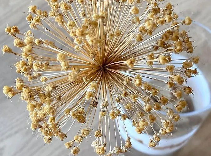 Διαμέρισμα Marisa Hvar Iii *